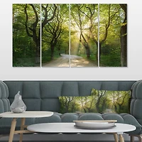 Designart - Evening in Green Forest