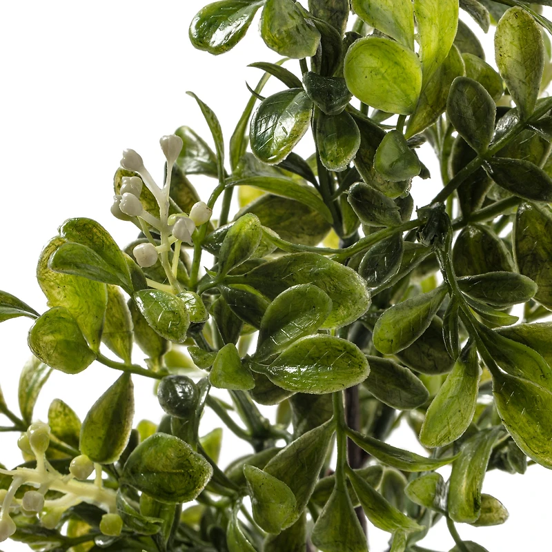 11" Boxwood Pick by Ashland®