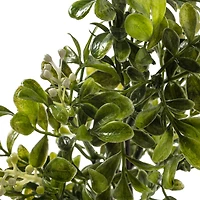 11" Boxwood Pick by Ashland®