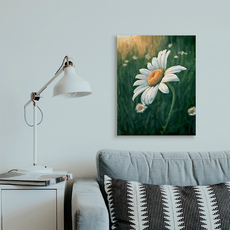 Stupell Industries Daisy Details in Field Canvas Wall Art