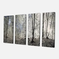 Designart - Dark Morning in Forest Panorama