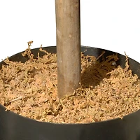 4ft. Potted Boxwood Three-Ball Topiary