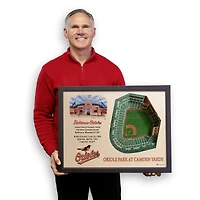 MLB 25-Layer StadiumView Wall Art