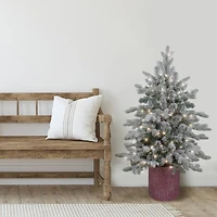 4ft. Pre-Lit Flocked Saratoga Spruce Artificial Christmas Tree in Decorative Pot, Clear Lights