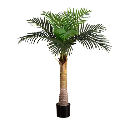 4ft. Potted Coconut Palm Tree