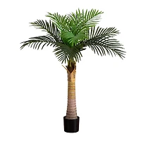 4ft. Potted Coconut Palm Tree