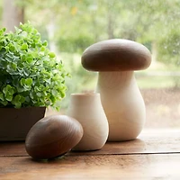 Wood Mushroom Box Décor Set