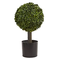 21" Potted Boxwood Ball Topiary Tree
