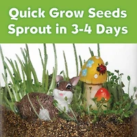 12 Pack: Creativity for Kids® Grow N' Glow Terrarium