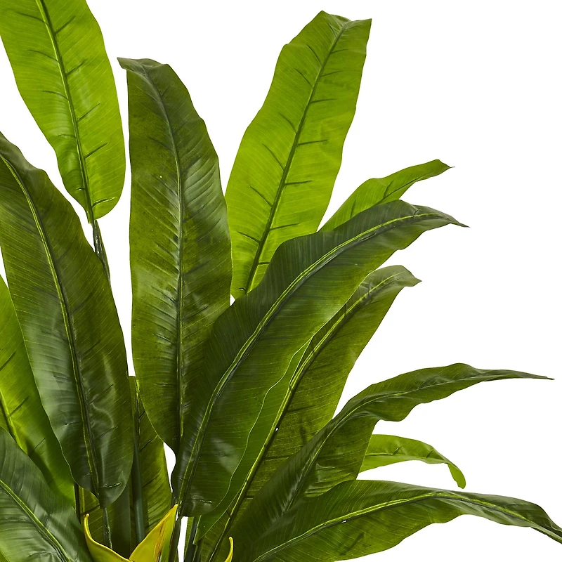 4.5ft. Potted Traveler's Palm Tree