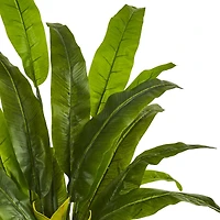 4.5ft. Potted Traveler's Palm Tree