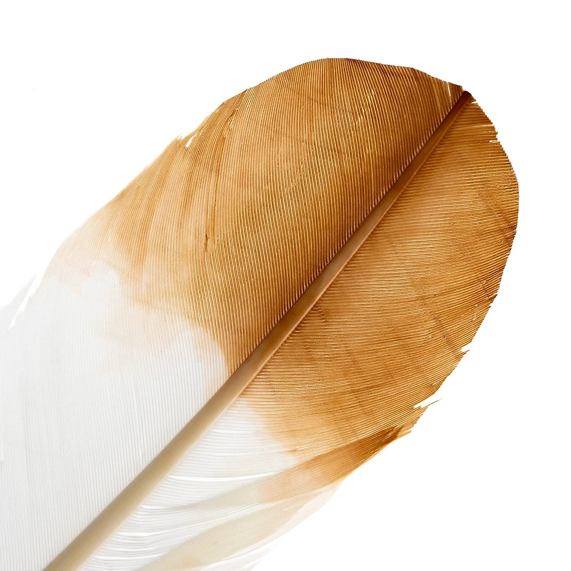 John Bead 12" White & Brown Imitation Eagle Feathers, 18ct.