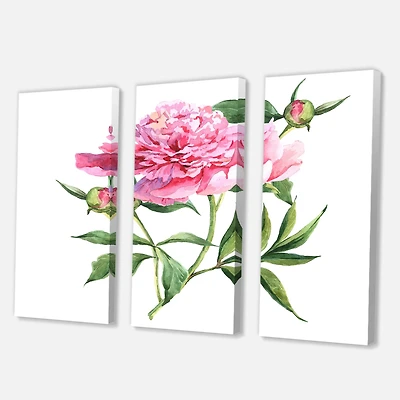 Designart - Vintage Pink Peonies