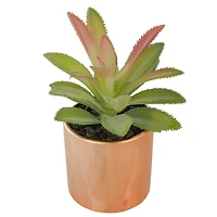 5" Green Aloe Plant in Rose Gold Pot