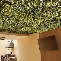 51" Expandable Lemon Leaf Lattice Screen