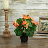 11" Potted Silk Begonia Floral Arrangement