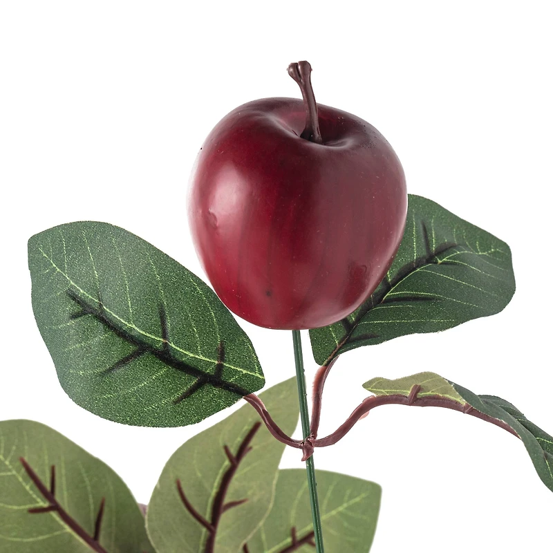 Red Apple Bush by Ashland®