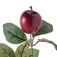 Red Apple Bush by Ashland®