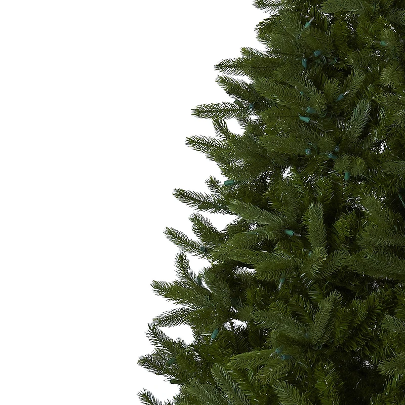 7.5ft. Pre-Lit Rembrandt Artificial Christmas Tree, Clear Lights