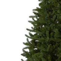 7.5ft. Pre-Lit Rembrandt Artificial Christmas Tree, Clear Lights