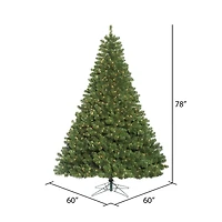 6.5ft. Pre-Lit Oregon Fir Artificial Christmas Tree, Clear Dura-Lit® Lights