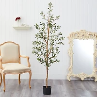 5.5ft. Potted Sparse Olive Tree