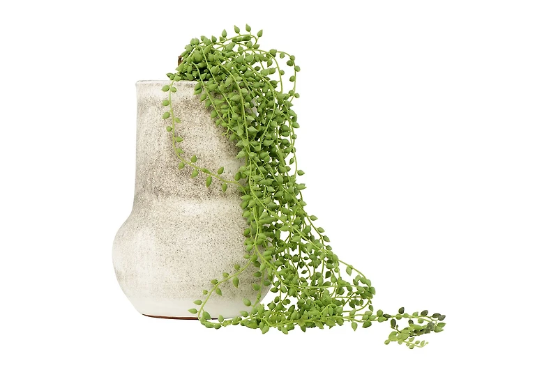 Hello Honey® 41" Faux String of Pearl Picks, 12ct.