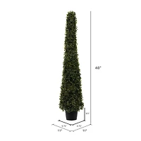 4ft. Potted Boxwood Cone