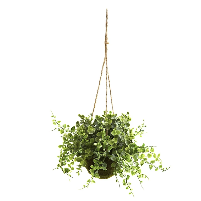 9'' Eucalyptus, Maiden Hair & Berry Hanging Basket, 3ct.