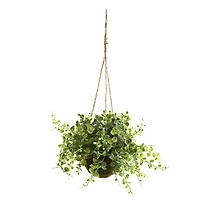 9'' Eucalyptus, Maiden Hair & Berry Hanging Basket, 3ct.