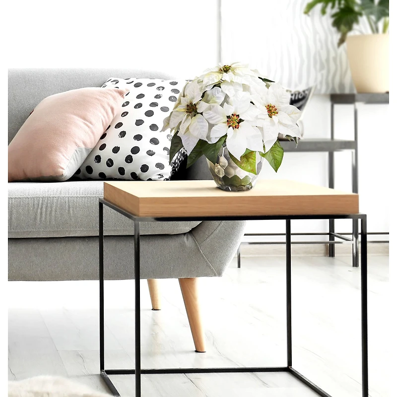 14" White Poinsettia Arrangement in Designer Silver Bowl