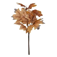 10.5" Mini Maple Leaf Bundle by Ashland