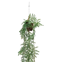 Hello Honey® 44" Verdant Green Hanging Kokedama