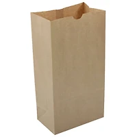 JAM Paper Brown Kraft Lunch Bags