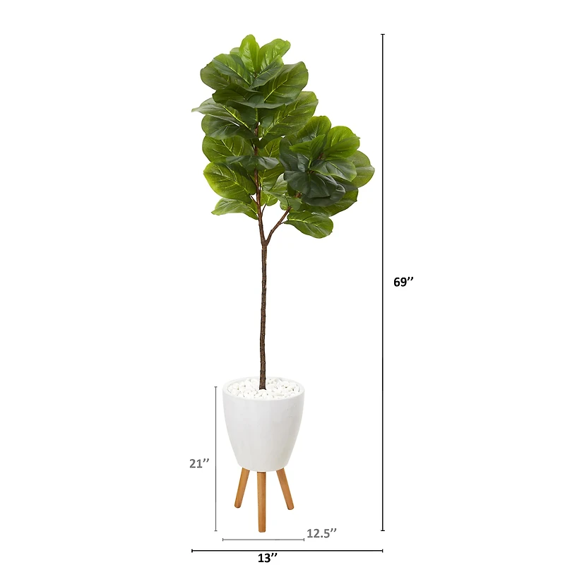 5.5ft. Fiddle Leaf Tree in White Planter with Stand
