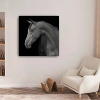 Lumaprints Jack Giclée Canvas