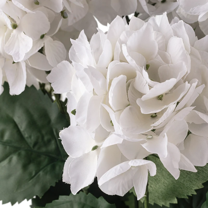 White Hydrangea Bush by Ashland®
