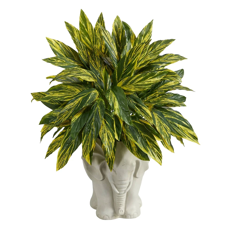 25" Spiderwort Plant in White Elephant Shaped Planter