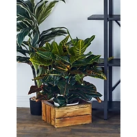 Set of 3 Brown Wood Farmhouse Storage Basket, 21", 16", 13"