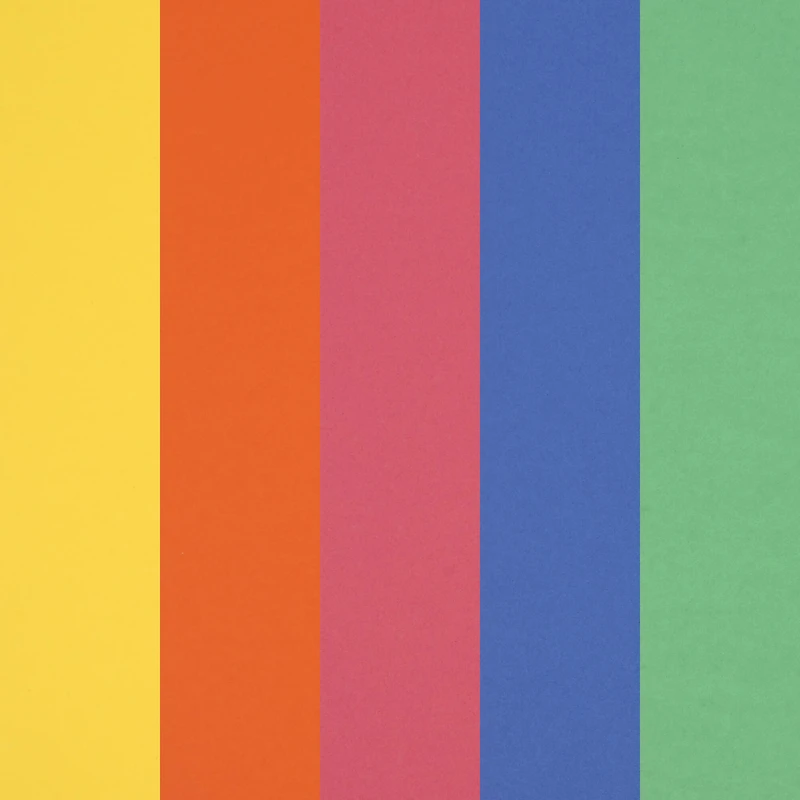 12 Packs: 50 ct. (600 total) Primary 8.5" x 11" Cardstock Paper by Recollections™