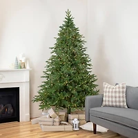 7.5ft. Pre-Lit Real Touch™ Birch River Fir Artificial Christmas Tree, Clear Lights