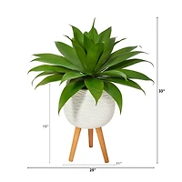 2.5ft. Agave Plant in White Planter with Stand
