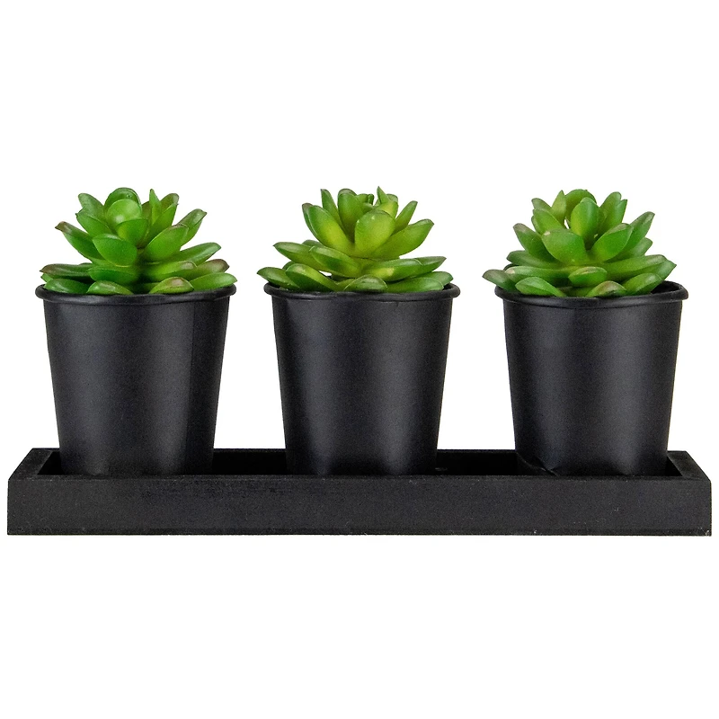 10" Potted Succulents with Wood Planter Set