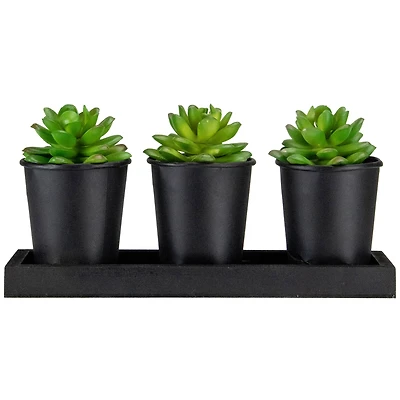 10" Potted Succulents with Wood Planter Set