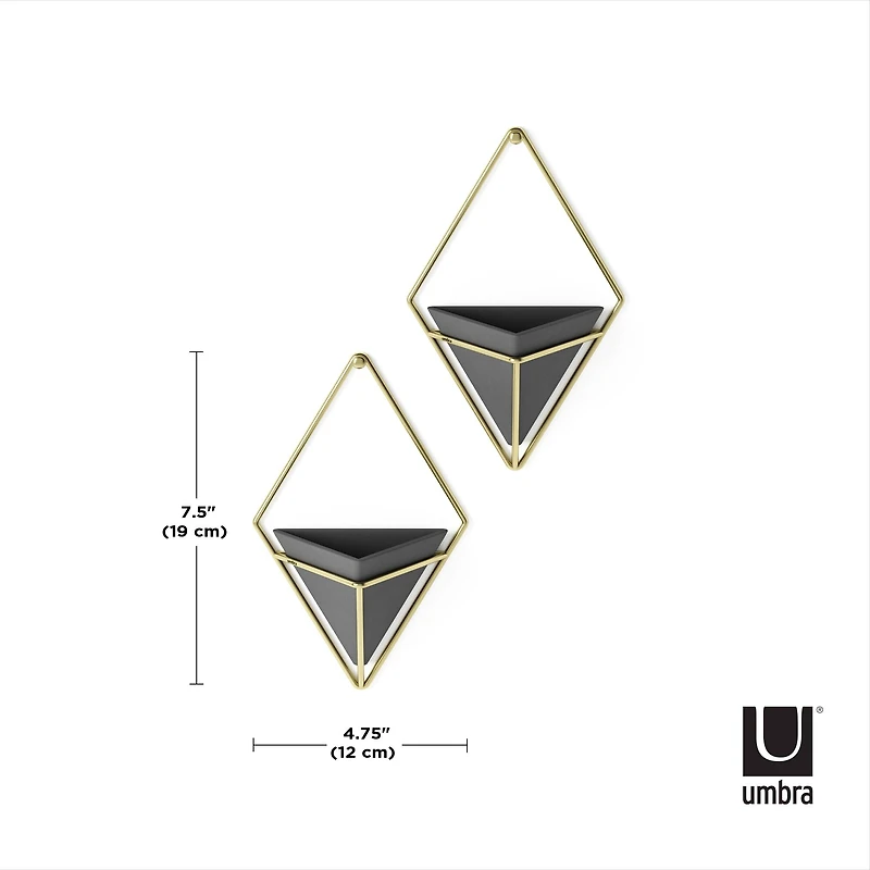 Umbra Trigg Wall Accent Set