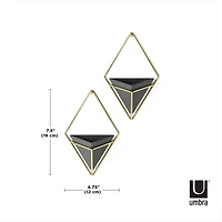 Umbra Trigg Wall Accent Set
