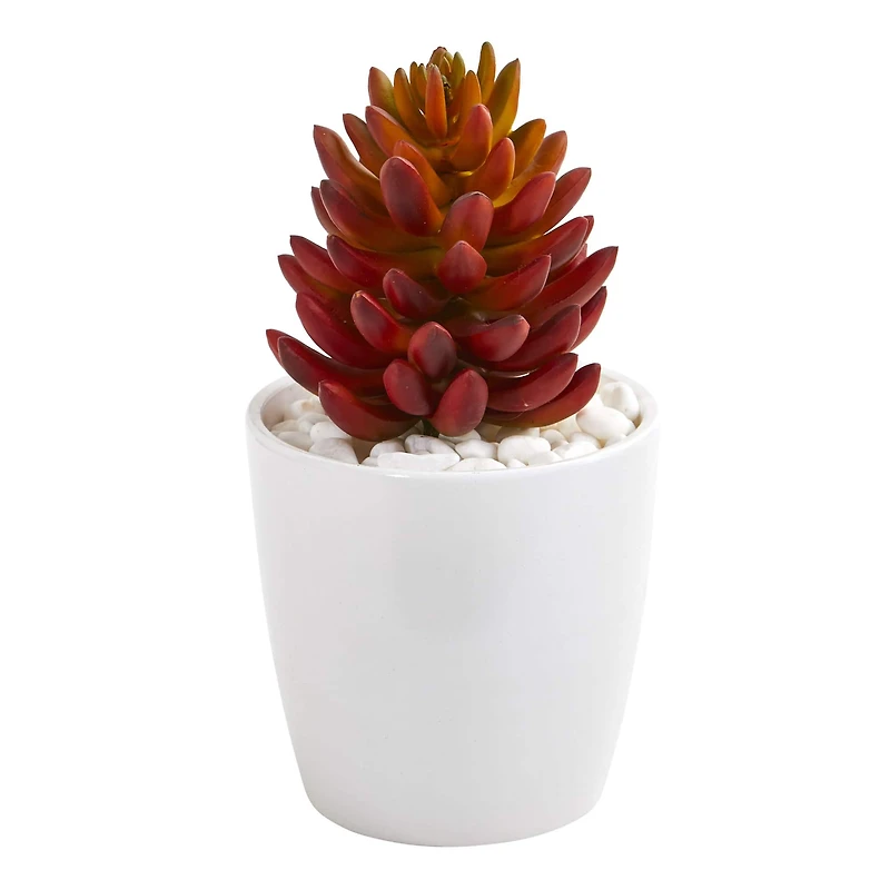 10" Mixed Succulent Plants in White Vases Set