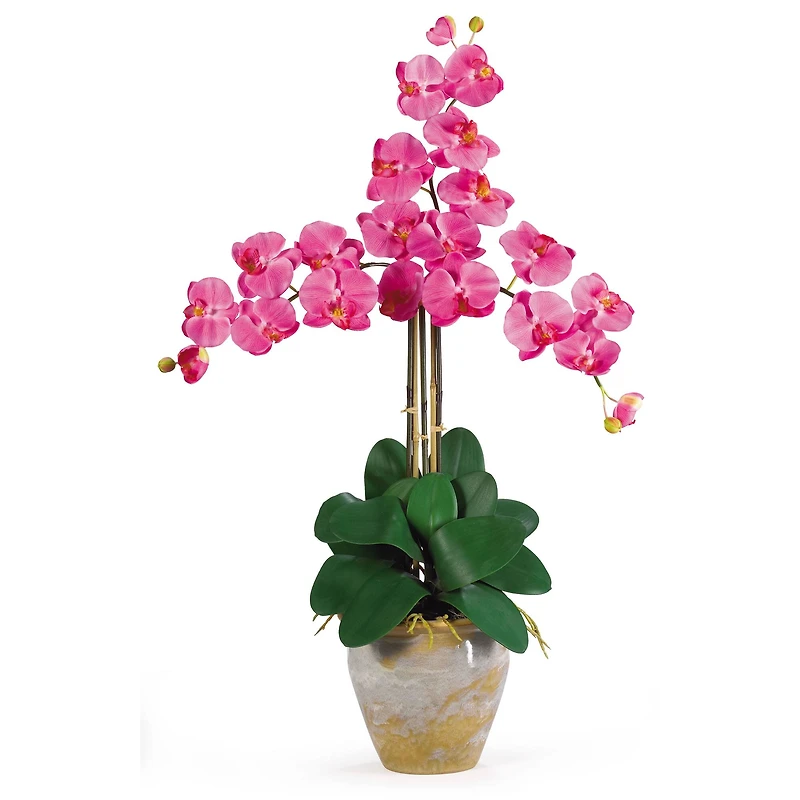 Triple Phalaenopsis Orchid Flower Arrangement In Ceramic Vase