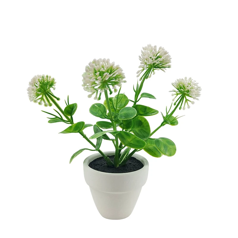 Assorted Micro Plant, 1pc. by Ashland®