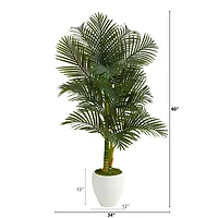 5ft. Paradise Palm Tree in White Planter